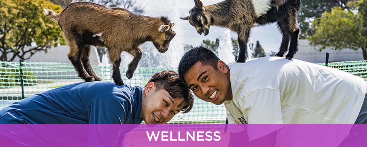 WELLNESS
