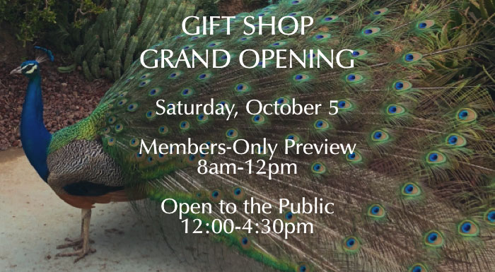 GIFT SHOP GRAND OPENING
Saturday, October 5
Members-Only Preview 8am-12pm
Open to the Public 12:00-4:30pm
