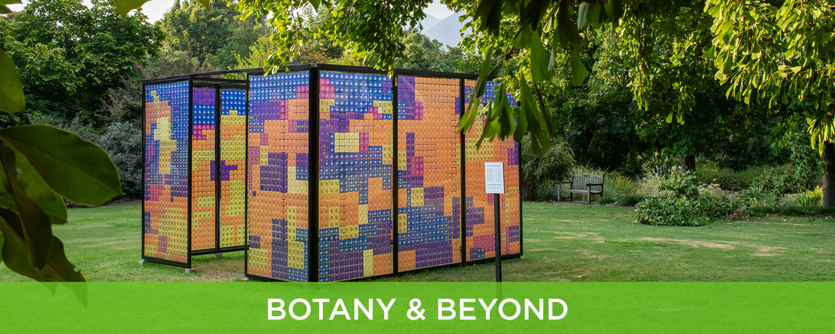 BOTANY & BEYOND