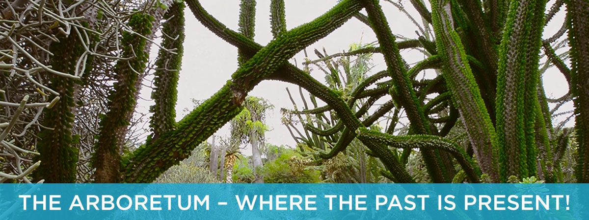 SUPPORT THE ARBORETUM