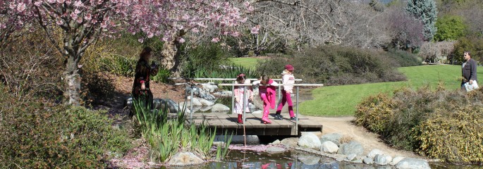 Santa anita arboretum