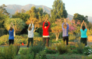 Yoga 2018