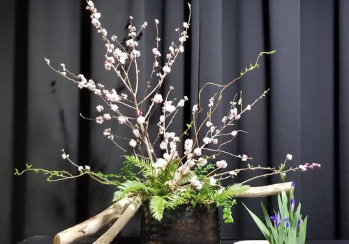 ikebana friday