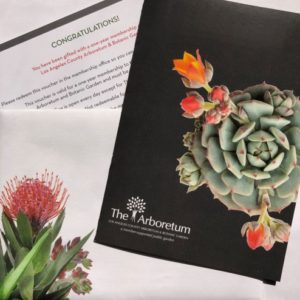 giftmembershippromo2sm