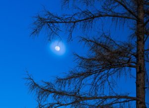 moon-1275694_1280