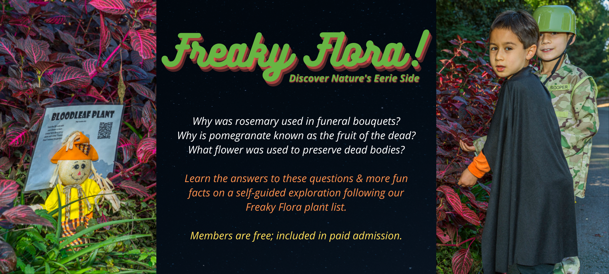 Freaky Web Banner