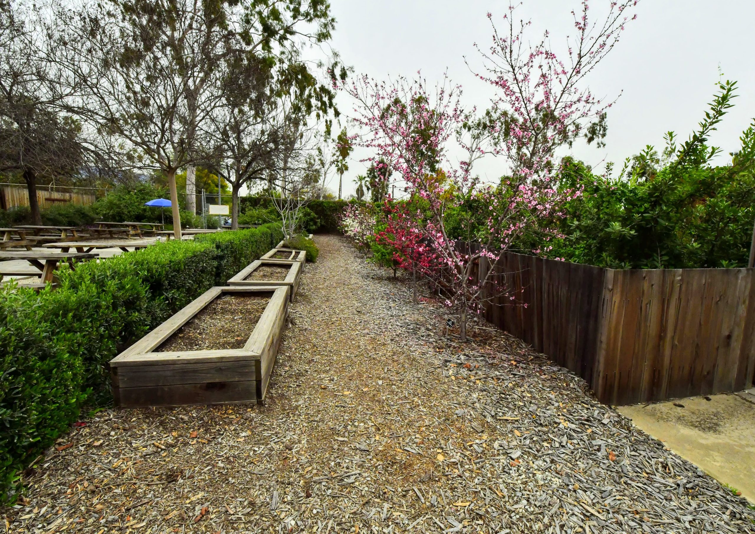 Los Angeles County Arboretum and Botanic Garden venue photo