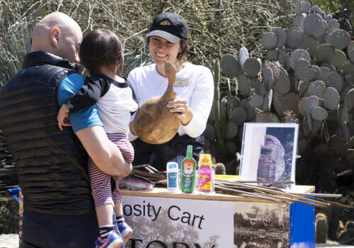 curiosity cart 52784926522_6a943a2e63_z