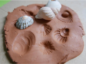 Fossil Molds AHNA Screenshot 2025-06-02 111301