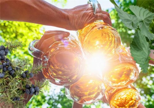 Boozy Botany Sept 2025