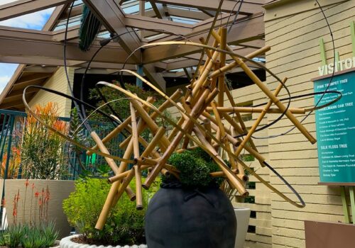 Sogetsu 485785712_1082428660581061_6413794320025578436_n