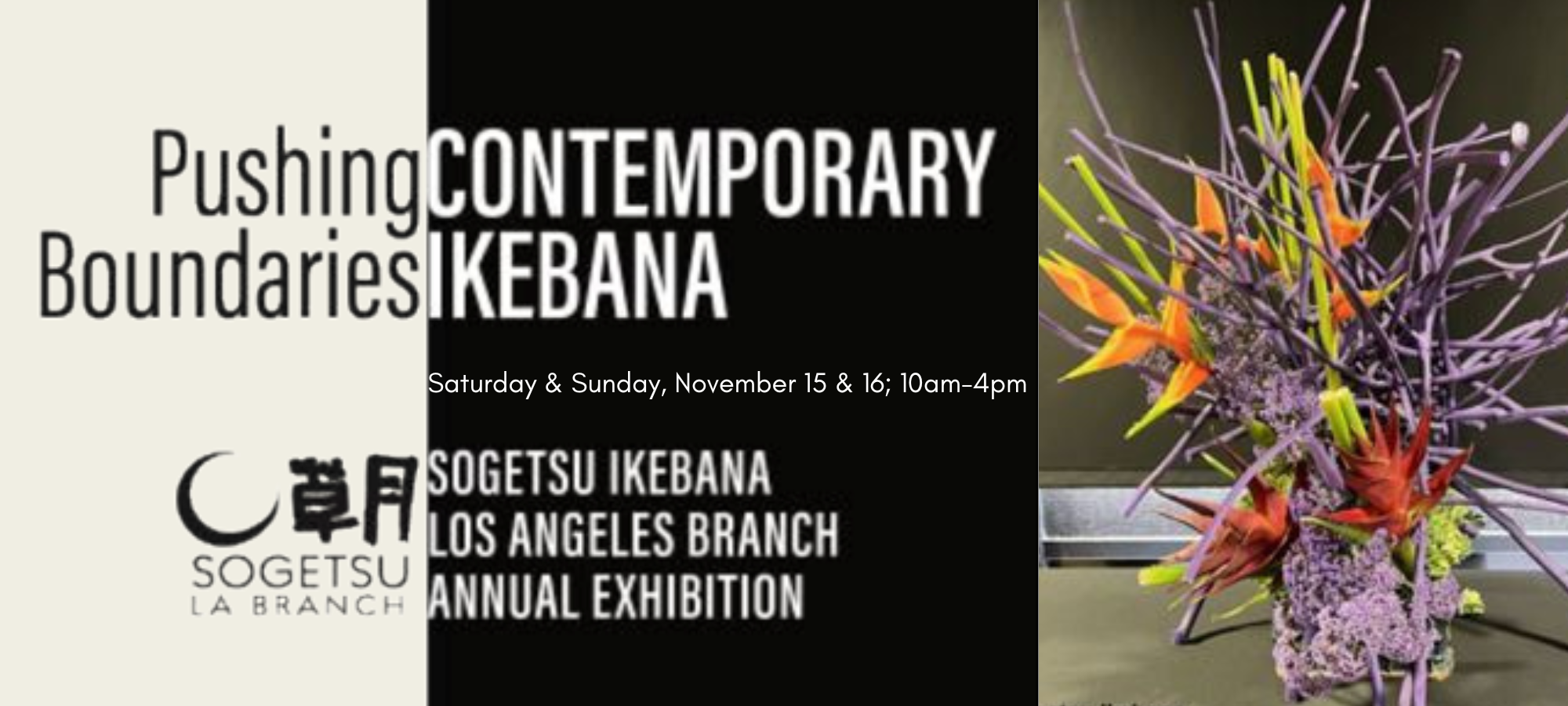 Untitled (2000 x 900 px)(2)