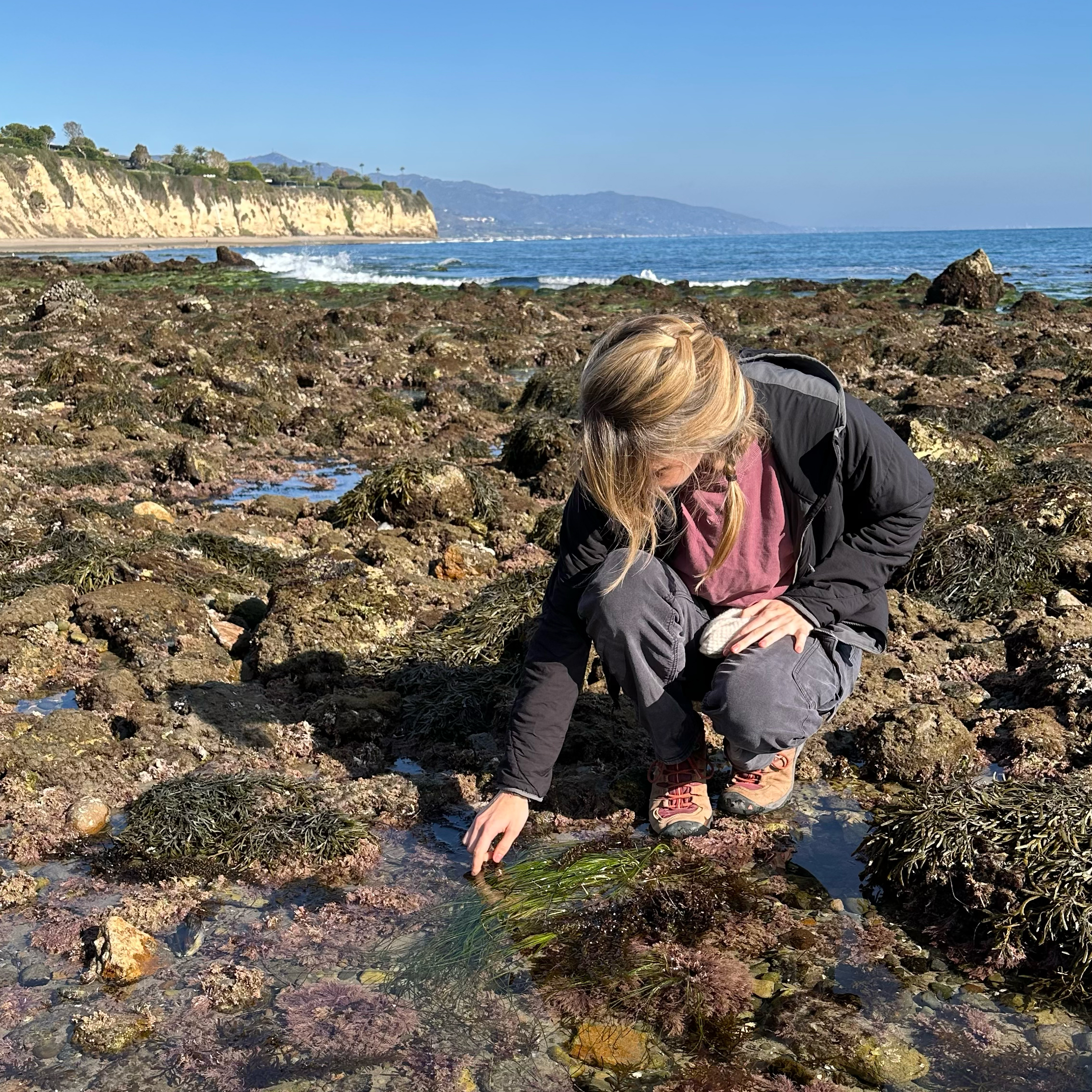 Becca from Botanical Bright bends down near an ocean tide pool to get a closer look