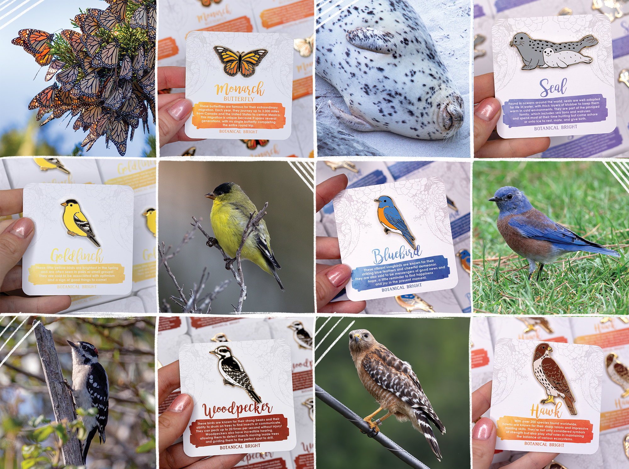 Images of real-life birds, mammals, and insects, alongside Botanical Bright designs made into pins, based on those creatures.