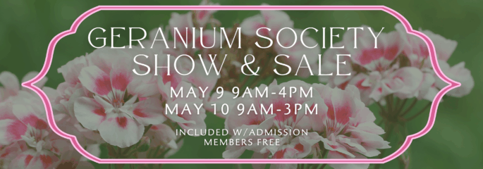 Geranium Event Geranium Society Show & Sale - The Arboretum
