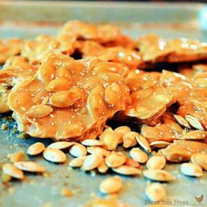 roasted-pumpkin-seeds-brittle-candy-picmonkey-edit